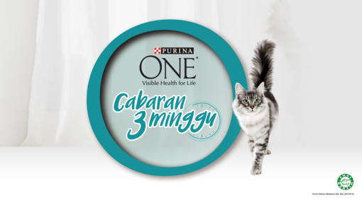 Join the PURINA ONE 3 Week Challenge